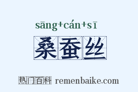 桑蚕丝是什么意思的图片